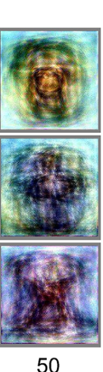 brainimage.png